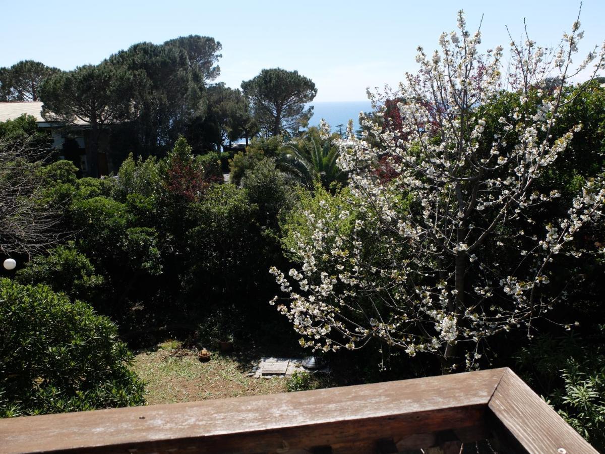 B&B Verde Sul Mare Arenzano Eksteriør billede